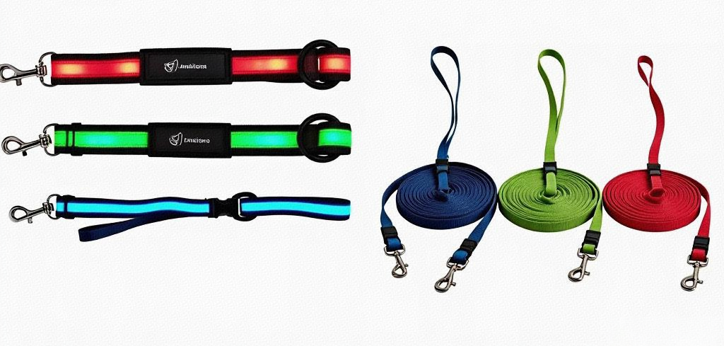 Dog Leash